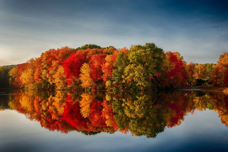 Fall foliage